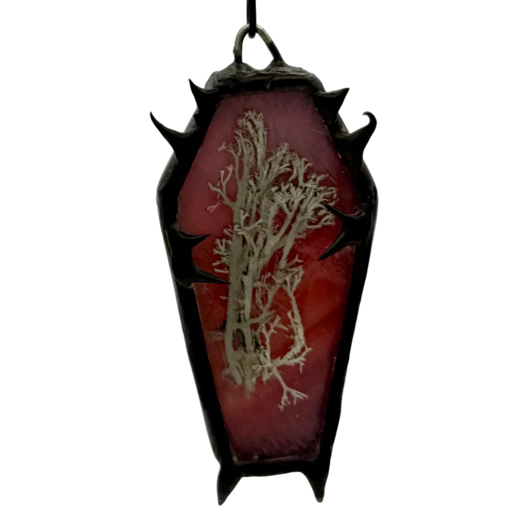 Lichen on mottled red mini coffin