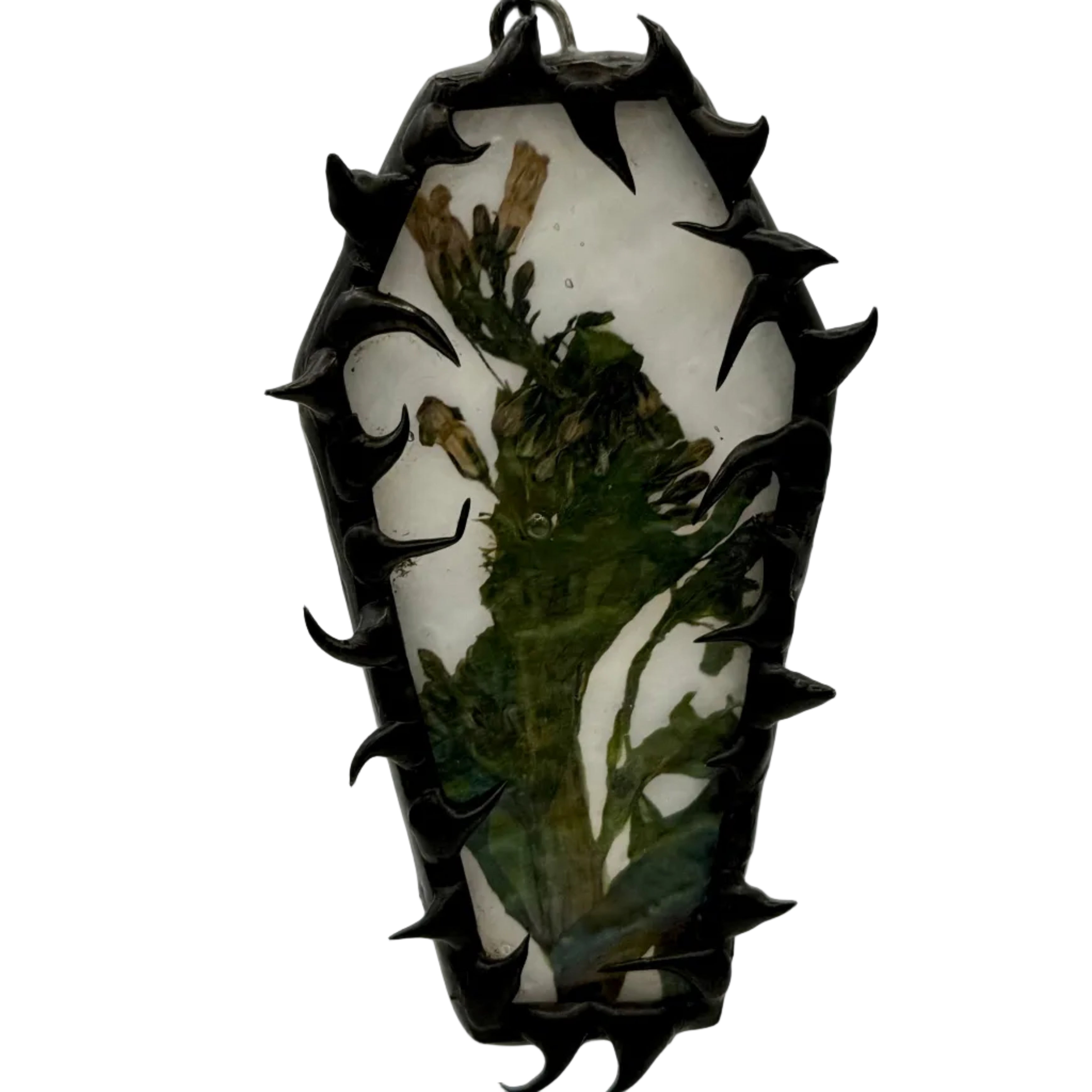 Buds through iridescent textures coffin