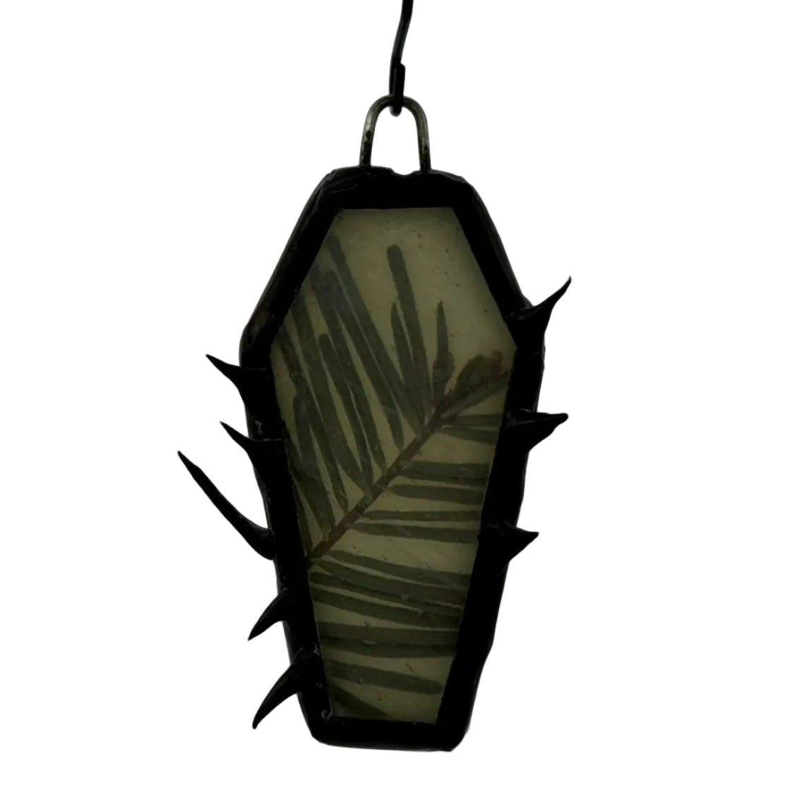 Foggy douglas fir mini coffin